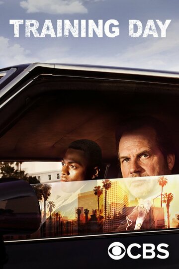 Тренировочный день - Trigger Time