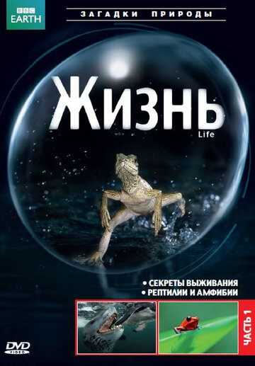 BBC: Жизнь - Птицы