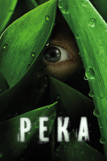 Река - Персики
