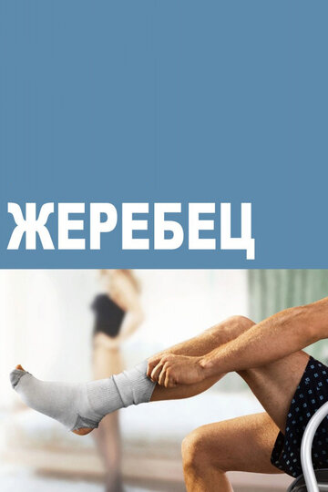 Жеребец - Туссон - ключ к члену
